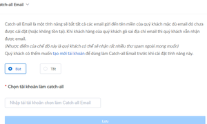 Hướng dẫn cấu hình chức năng Catch-all Email