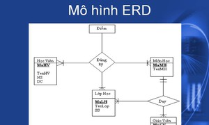 ERD là gì? Ứng dụng quan trọng của Entity Relationship Diagram trong thực tế