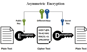 Asymmetric Encryption là gì? Lá chắn bảo vệ dữ liệu trong thế giới kỹ thuật số