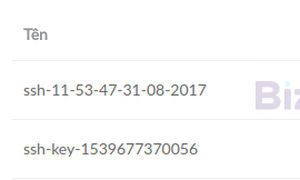 Cách Tạo SSH Key Cho Cloud Server Trên Bizfly Cloud