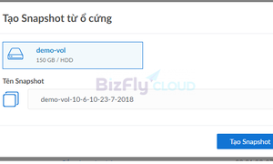 Tạo và Quản lý Volume trên Bizfly Cloud: Hướng Dẫn Chi Tiết