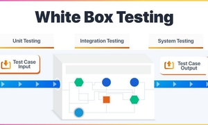 White Box Testing là gì? Phương pháp hiệu quả nâng cao chất lượng phần mềm