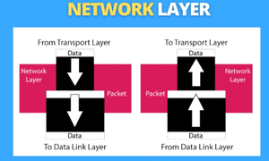 Network Layer là gì?