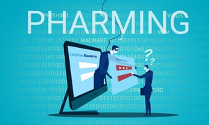 Pharming là gì? Thông tin tổng quan về Pharming bạn nên biết