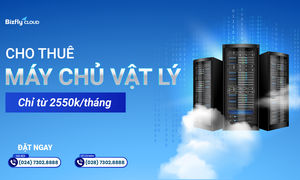 Thuê server vật lý giá rẻ, cấu hình mạnh - chỉ từ 2550k/tháng 