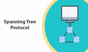 Spanning Tree là gì? Lợi ích của giao thức Spanning Tree?
