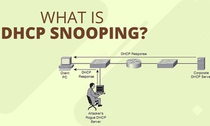 DHCP Snooping là gì? Cách cấu hình DHCP Snooping mang lại hiệu quả