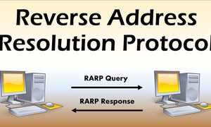 RARP là gì và RAPP khác với ARP và ICMP như thế nào?