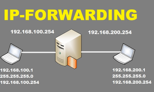 IP Forwarding? Cách thức hoạt động và phương pháp kiểm tra IP Forwarding