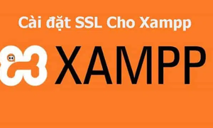 9 Bước cài đặt SSL cho Xampp chi tiết nhất