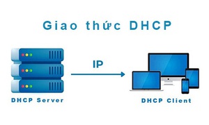 DHCP và IP tĩnh là gì? Nên chọn DHCP hay IP tĩnh?