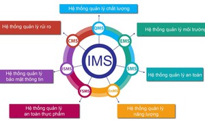 IMS là gì? Lợi ích của việc triển khai IMS trong doanh nghiệp