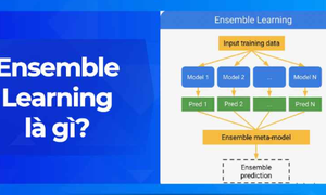 Ensemble Learning là gì? Khám phá vai trò trong Machine Learning
