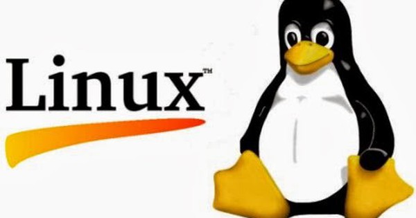 Sử dụng lệnh "ss" Trên Linux