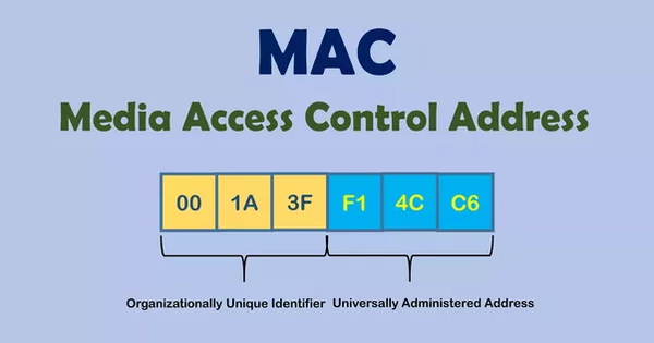 To address được sử dụng như một thuật ngữ trong lĩnh vực công nghệ thông tin là gì?