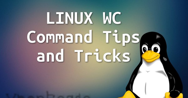 Hướng dẫn sử dụng lệnh WC kèm ví dụ trên Linux