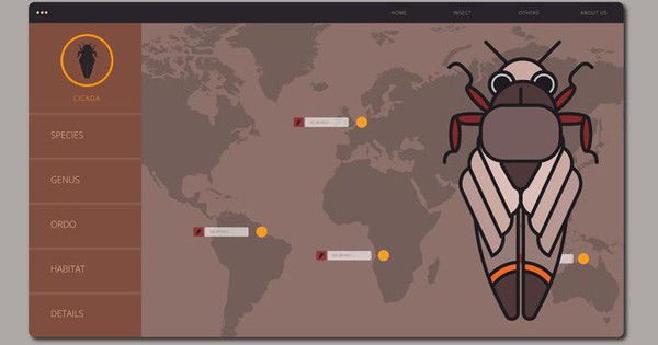 Kiến thức căn bản về Bug và Report Bug