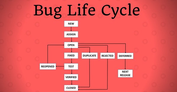 Vòng đời của Bug bạn phải hiểu