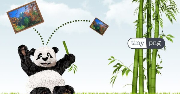 Công cụ nén ảnh PNG hiệu quả TinyPNG 