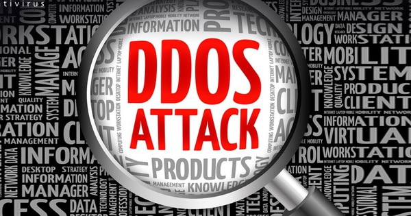 Máy tính bị nhiễm mã độc và bị lợi dụng phục vụ các đợt tấn công DDoS gọi là gì?