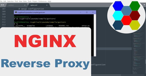 Hướng dẫn cấu hình Reverse Proxy với NGINX mới nhất