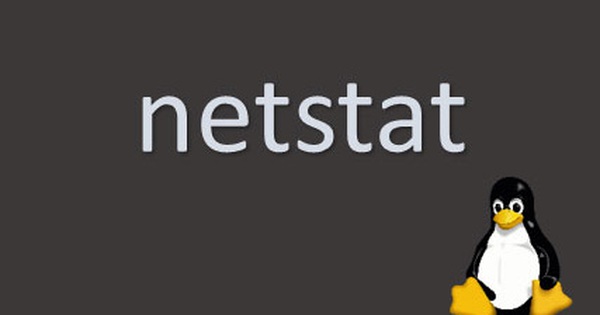 Netstat là gì? Hướng dẫn cách sử dụng Netstat cho người mới bắt đầu 