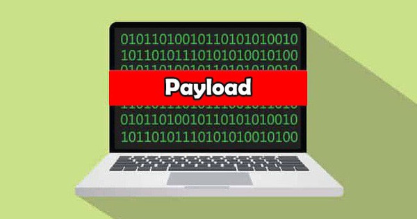 Payload là gì? Sự ảnh hưởng và cách phòng chống trong bảo mật
