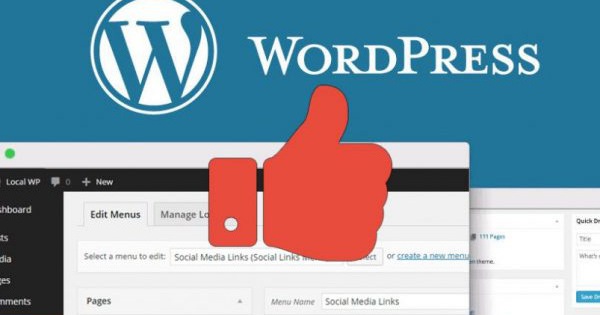 Sử dụng WordPress để tạo website là một cách tiết kiệm thời gian và tiền bạc