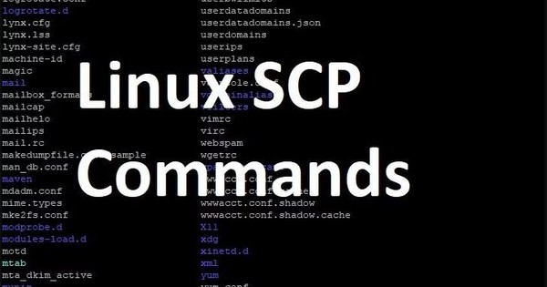 SCP Command là gì? Hướng dẫn sử dụng SCP Command trong Linux