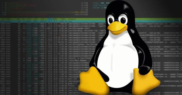 Sed là gì? Tìm hiểu về lệnh Sed trong Linux