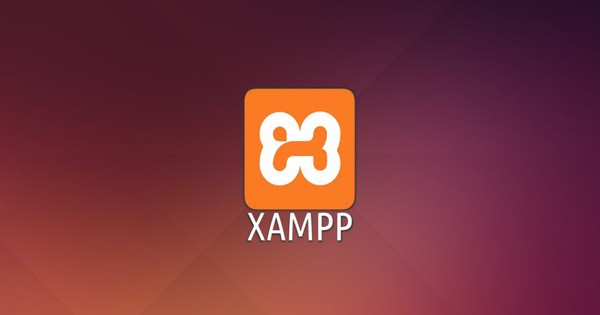 Cách tạo Database trong Xampp theo từng bước chi tiết