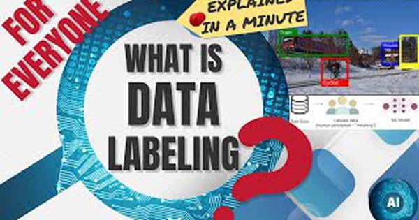 Ghi nhãn dữ liệu (Data Labeling) là gì ? Lợi ích và chiến lược hiệu quả 