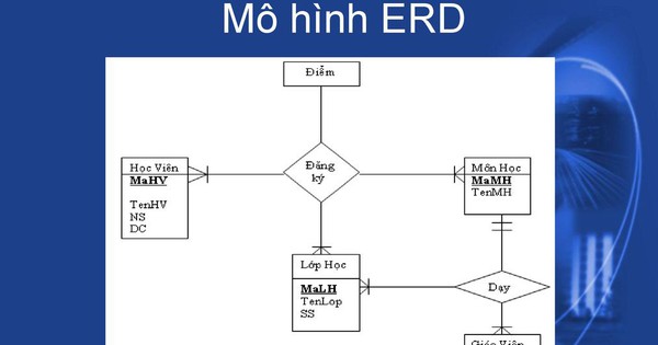 ERD là gì? Ứng dụng quan trọng của Entity Relationship Diagram trong thực tế