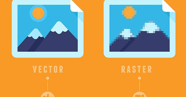 File vector là gì? Đặc điểm và ứng dụng trong lĩnh vực thiết kế