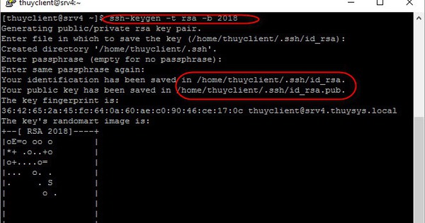 Hướng dẫn Tạo và Sử dụng SSH Key trên Ubuntu/Linux