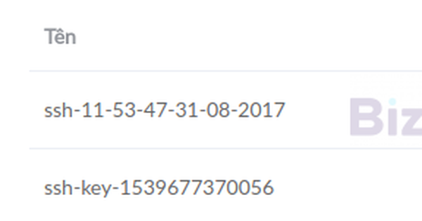 Cách Tạo SSH Key Cho Cloud Server Trên Bizfly Cloud