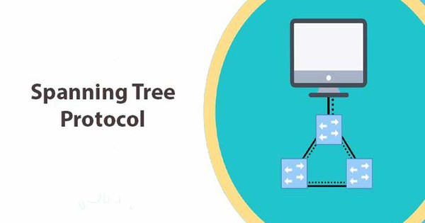Spanning Tree là gì? Lợi ích của giao thức Spanning Tree?