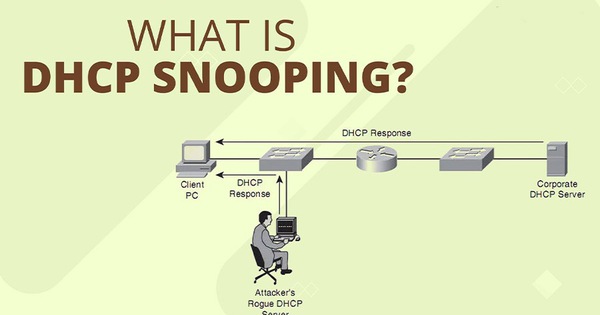 DHCP Snooping là gì? Cách cấu hình DHCP Snooping mang lại hiệu quả