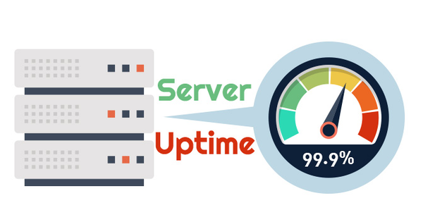 Server Uptime là gì? Cách đo lường và tỷ lệ bao nhiêu là hợp lý?