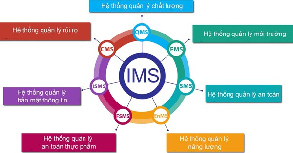 IMS là gì? Lợi ích của việc triển khai IMS trong doanh nghiệp