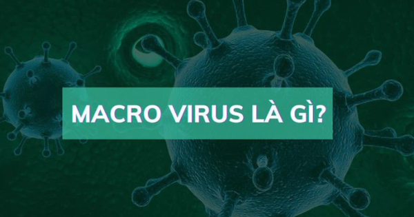 Virus Macro là gì? Dấu hiệu nhận biết và cách phòng tránh