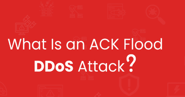 ACK Flood Attack là gì? Điểm khác biệt gì so với các loại tấn công DDoS khác?