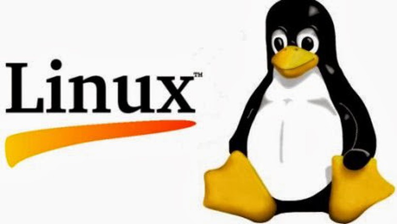 Sử dụng lệnh "ss" Trên Linux