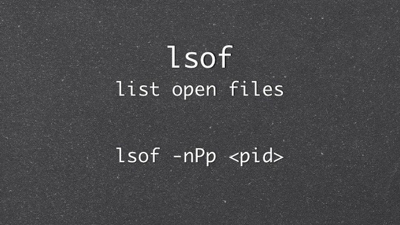 10 ví dụ sử dụng chương trình lệnh "lsof" trên Linux