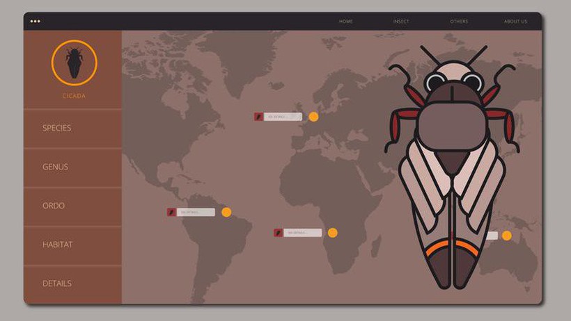 Kiến thức căn bản về Bug và Report Bug