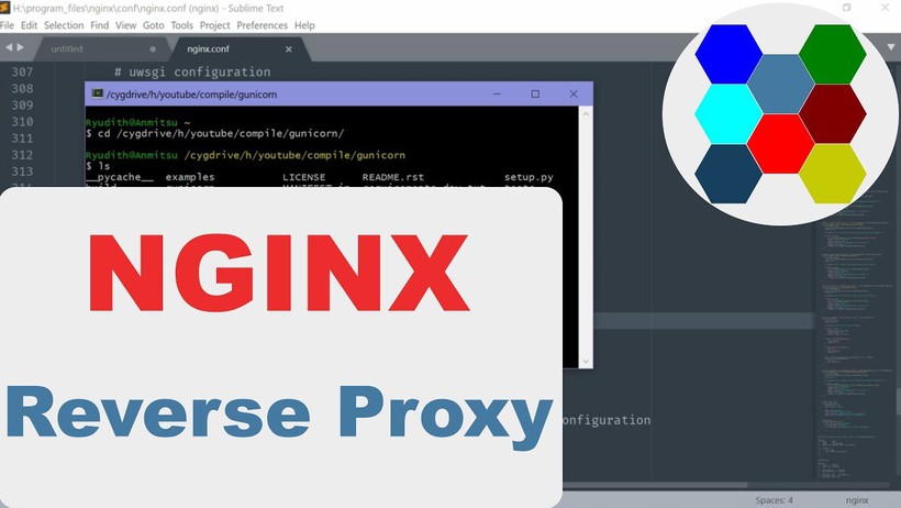 Hướng dẫn cấu hình Reverse Proxy với NGINX mới nhất