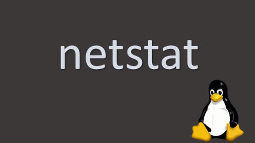 Netstat là gì? Hướng dẫn cách sử dụng Netstat cho người mới bắt đầu