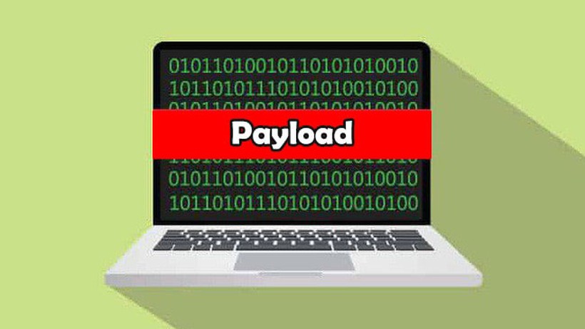 Payload là gì? Sự ảnh hưởng và cách phòng chống trong bảo mật