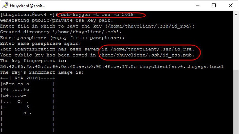 Hướng dẫn Tạo và Sử dụng SSH Key trên Ubuntu/Linux