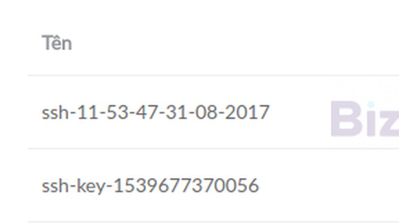 Cách tạo SSH key cho Cloud Server trên Bizfly Cloud